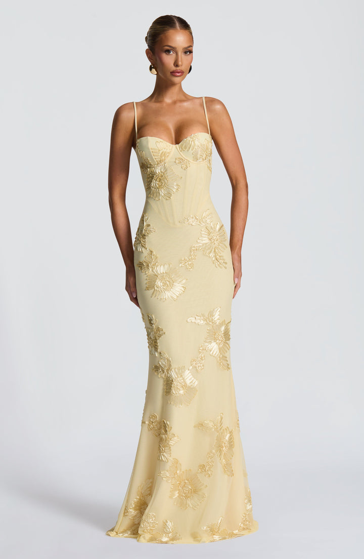Damen Velours Maxikleid