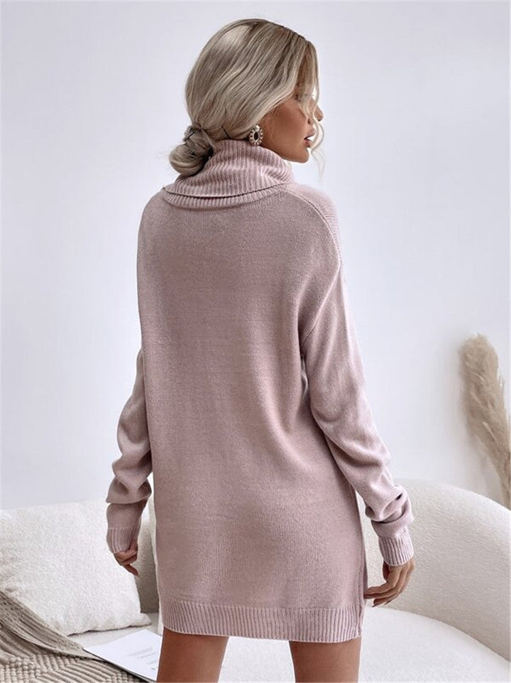 Damen-Strickkleid mit hohem Kragen und langen Ärmeln in der Rückansicht