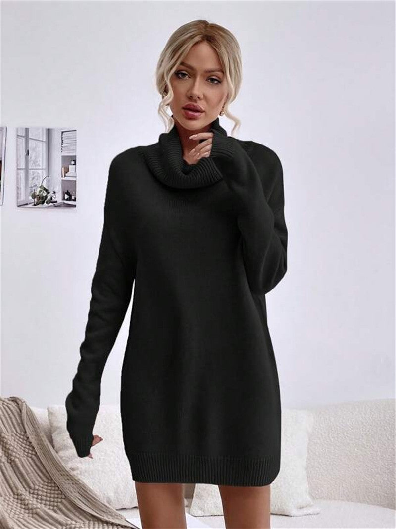 Damen-Strickkleid mit hohem Kragen und langen Ärmeln in der Vorderansicht