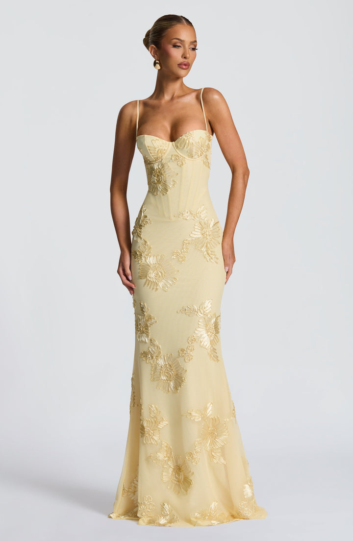 Damen Velours Maxikleid